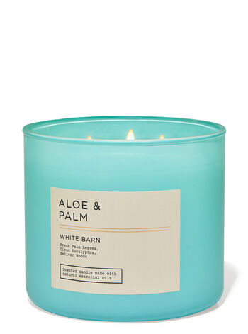 Aloe and Palm Sunrise 3-Wick Candle