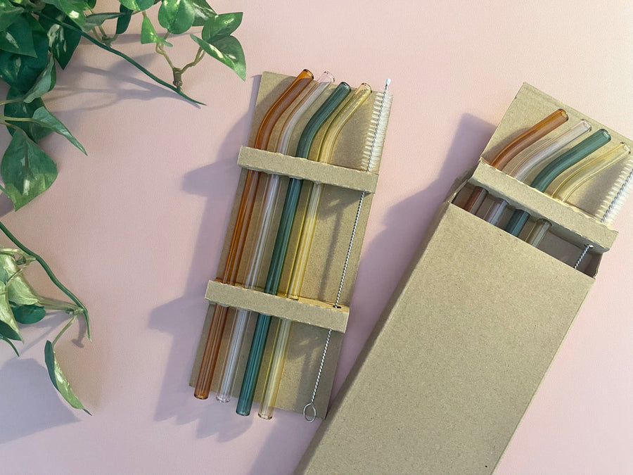 Colorful Glass Straw Set